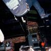 SKATE LEGEND BORGY AT THE TOTE